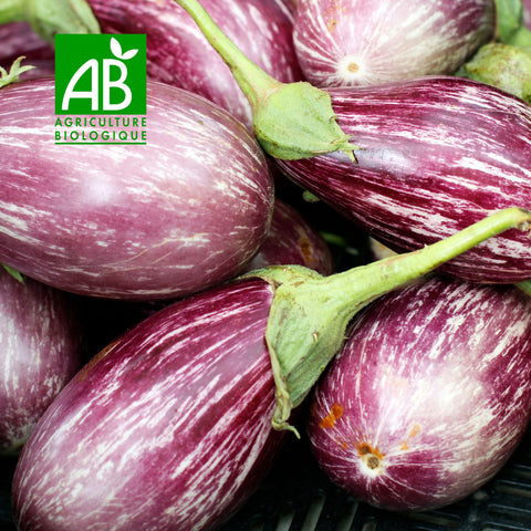 🍆 Aubergine Striée BIO – 1 kg