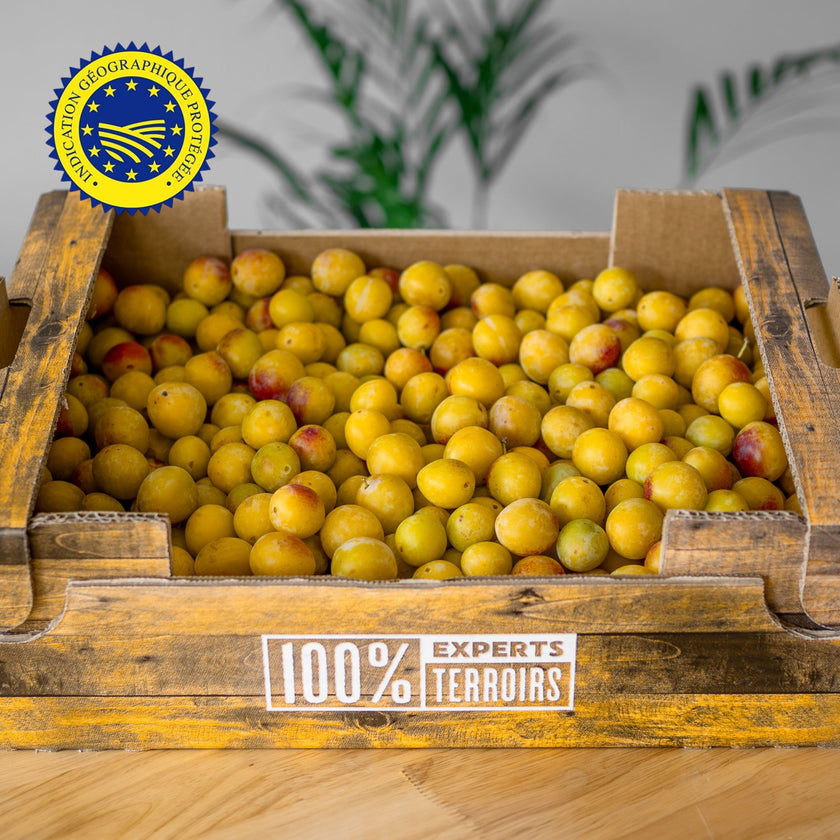 Colis de Mirabelles de Lorraine 5kg Neary