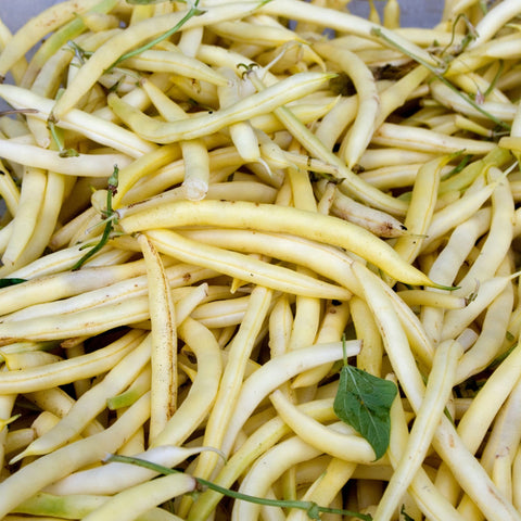 🌽 Haricots beurre frais de Lorraine – 1 kg | Cultivés à Malzéville 🌿