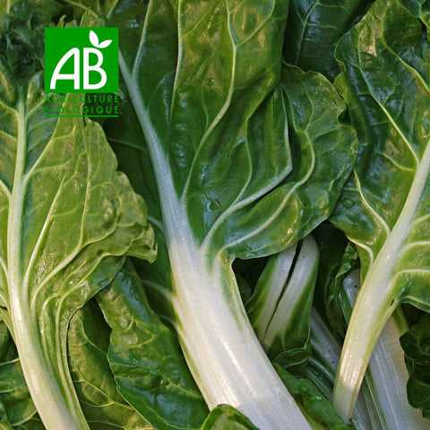 Organic Swiss chard