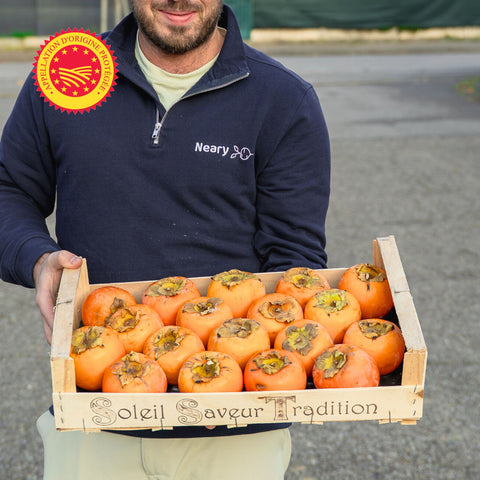 🍊 Kaki Persimon AOP – À Unité