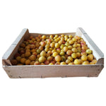 Colis de Mirabelles de Lorraine - 5kg