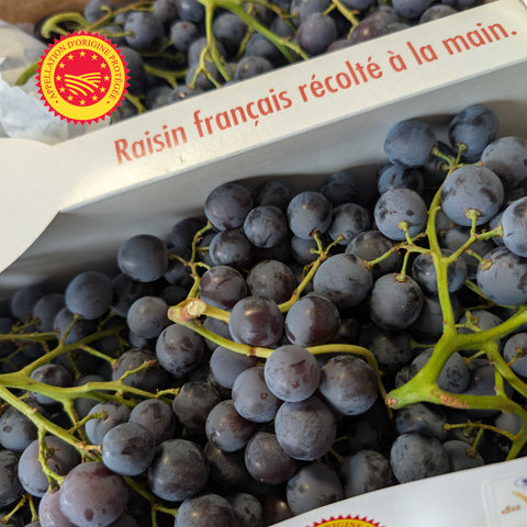 🍇 Raisin Muscat du Ventoux AOP – 1 kg