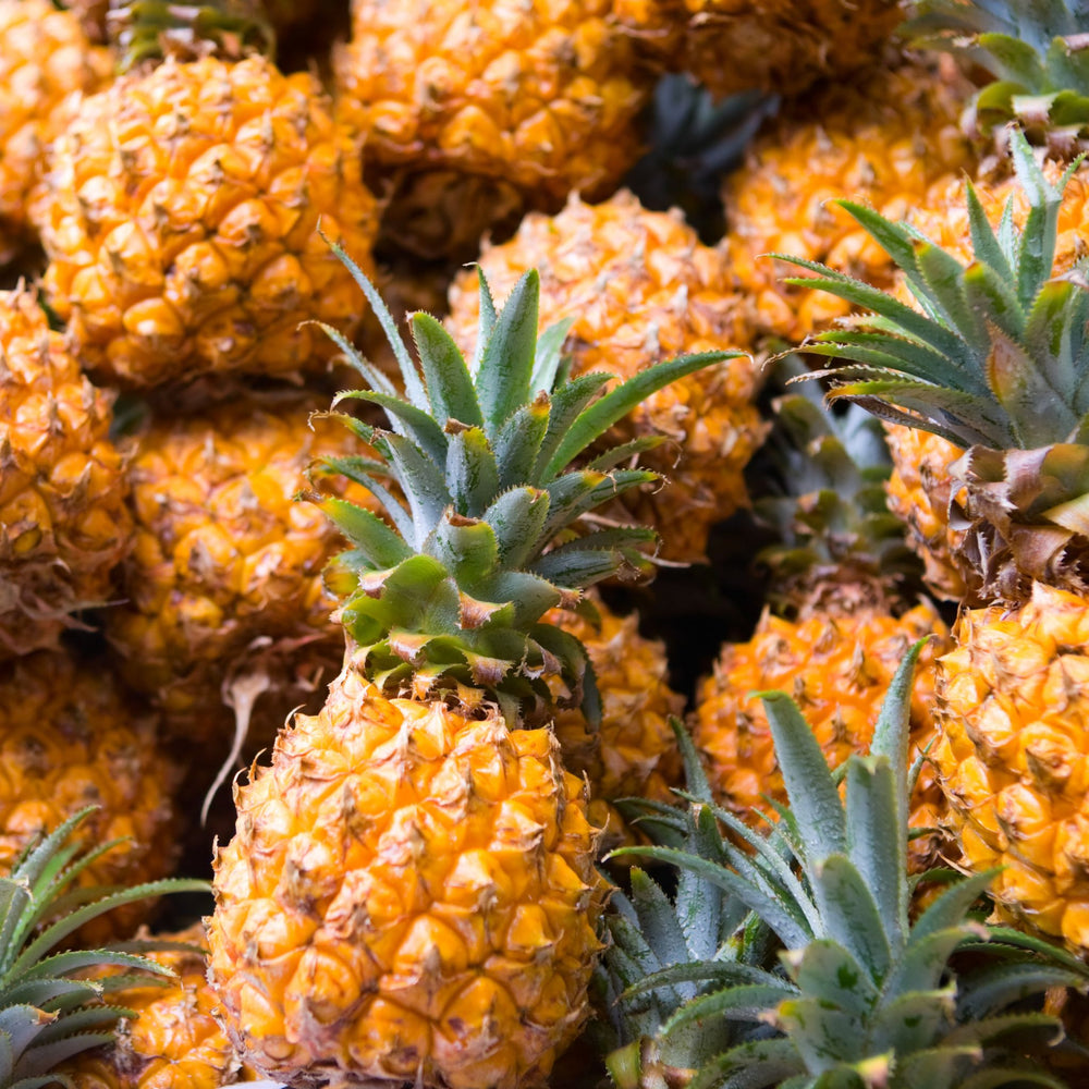 Ananas victoria de la Réunion