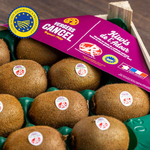 🥝 Kiwis de l’Adour IGP Label Rouge – 10 Pièces