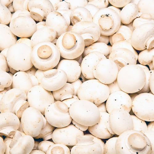 🍄 Champignons de Paris – 500g