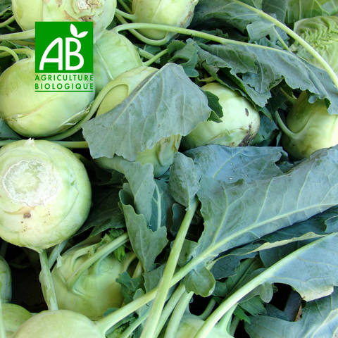 🥬 Chou Rave Vert BIO – 1 Pièce