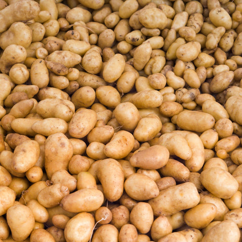 🥔 Pommes de Terre Ratte – 1kg