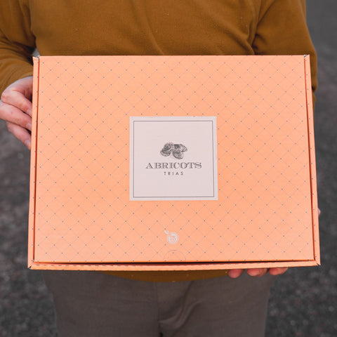 🍑 Abricots Moelleux Trias – Fabrication artisanale | 500 g
