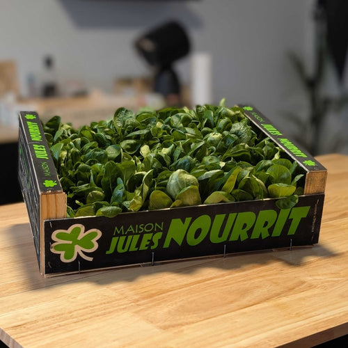 🥗 Mâche Française – Plateau 1 kg