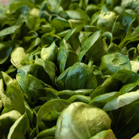 🥗 Mâche Française – Plateau 1 kg