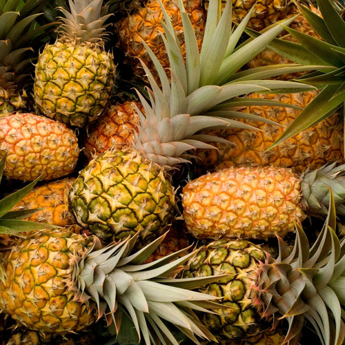 🍍 Ananas Victoria – 1 Pièce