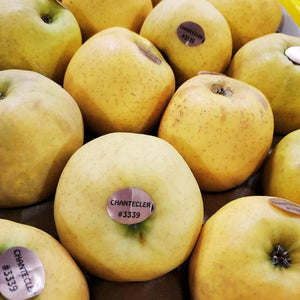 Pommes Chanteclerc - 1KG - Neary - Fruits - Livraison à domicile Nancy Metz