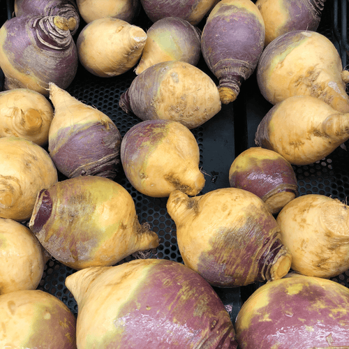 🌱 Rutabaga – 1kg