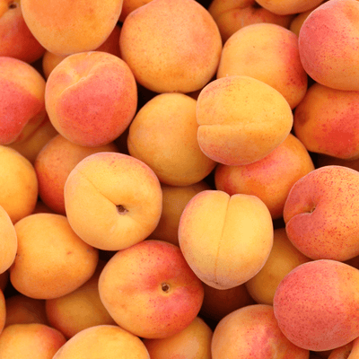 🍑 Bergeron Apricot – 1 kg – Sunny sweetness from the Rhône Valley