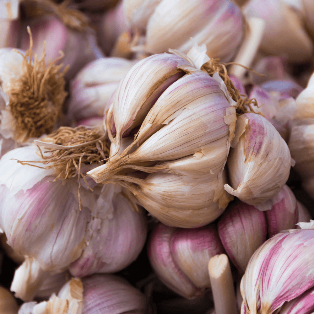 Ail rose de Lautrec - 200g - Neary - Légumes - Livraison à domicile