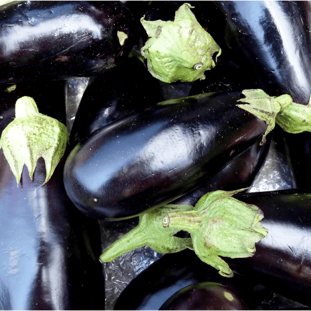 Aubergine noire BIO - 1kg - La ferme des Terres Noires - Légumes - Livraison à domicile Nancy Metz