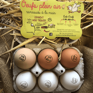 Boîte de 6 œufs sans OGM - Les poulets du jard - Œuf - Livraison à domicile Nancy Metz