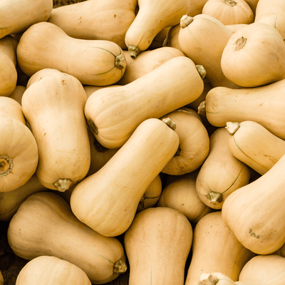 🎃 Courge Butternut – 1 Pièce