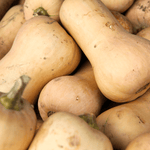 Butternut BIO - 1kg - La ferme des Terres Noires - Légumes - Livraison à domicile Nancy Metz