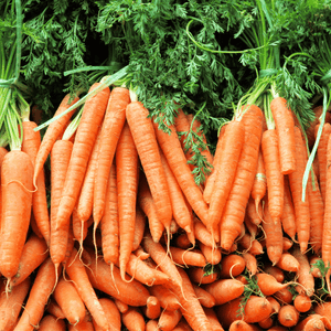 Carottes nouvelles - 1 botte - Elles Maraichage - Légumes - Livraison à domicile Nancy Metz