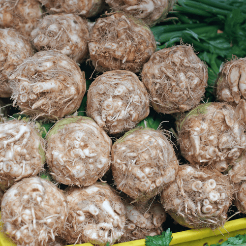 🌱 Céleri-Rave – 1 Pièce