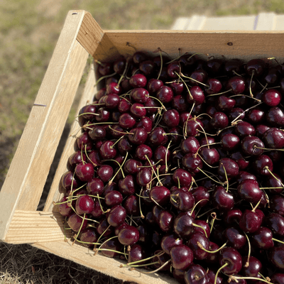 🍒 Cherries – 500g