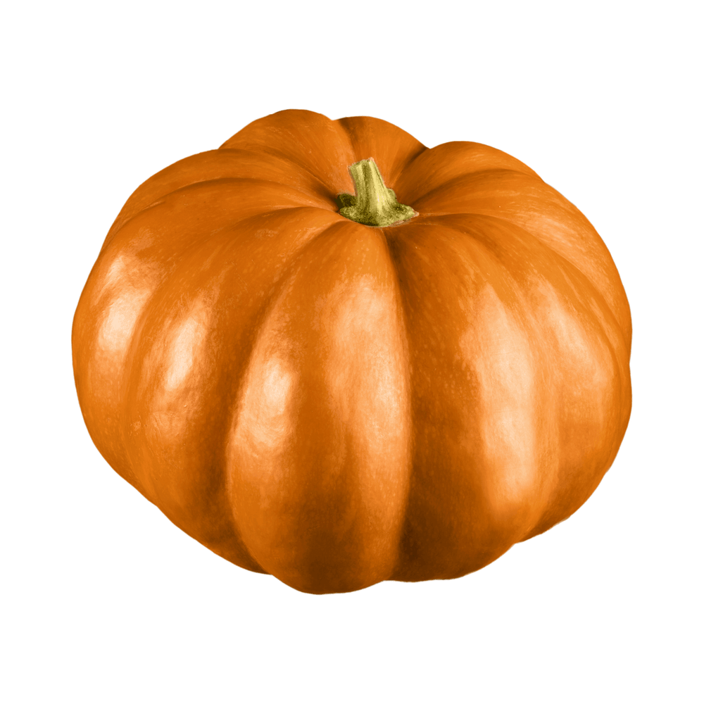 Livraison panier de fruits et légumes à Nancy, Metz et villages alentours - Citrouille BIO - 1kg - Neary - Légumes - La ferme de Domangeville - BIO, Décembre, Les fruits et légumes, Local, Lorraine, Légumes, Nancy, Nouveauté