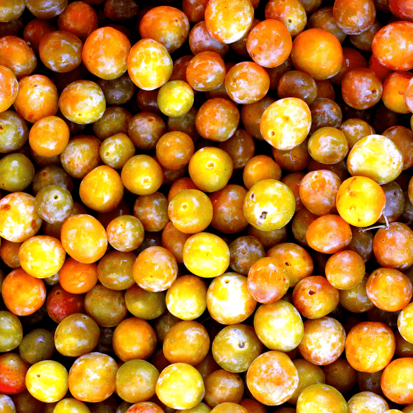 Mirabelles en cagette livraison fraîche