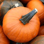 Courge potimarron BIO - 1kg - La ferme des Terres Noires - Légumes - Livraison à domicile Nancy Metz