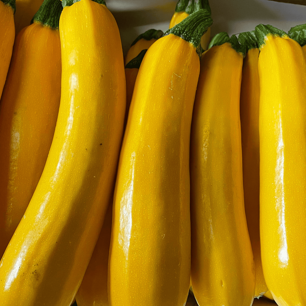 Courgettes jaunes - 1kg - Elles Maraichage - Légumes - Livraison à domicile Nancy Metz