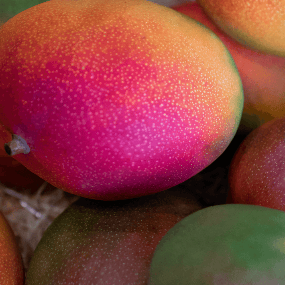Mangue - Neary - Fruits - Livraison à domicile Nancy Metz