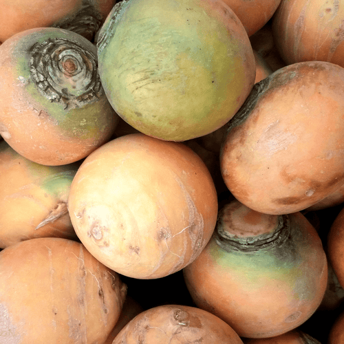 💛 Navets Boule d’Or – 1kg