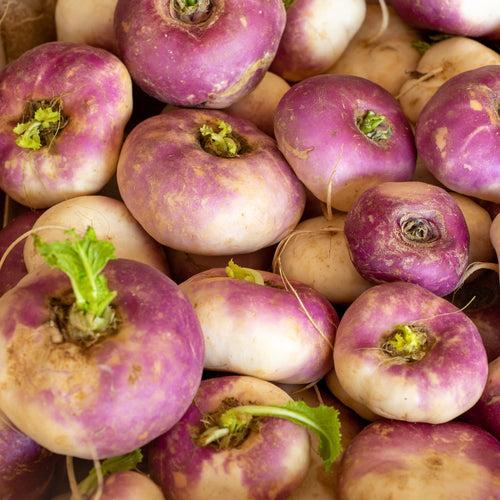 💜 Navets Violets Ronds – 1kg