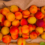 Nectarines - 500g - Neary - Fruits - Livraison à domicile Nancy Metz