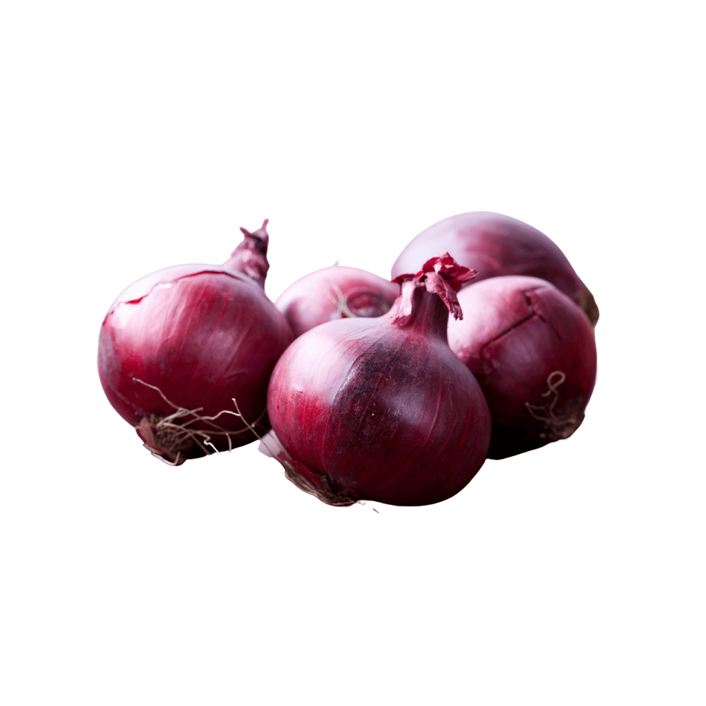 Oignons rouge BIO - botte - La ferme de Domangeville - Légumes - Livraison à domicile Nancy Metz