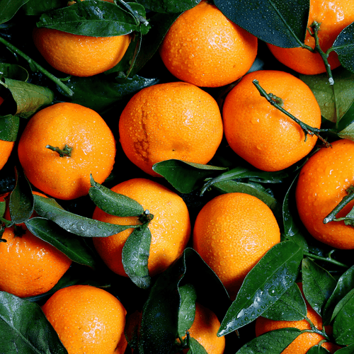 🍊 Oranges Cambria – 1kg