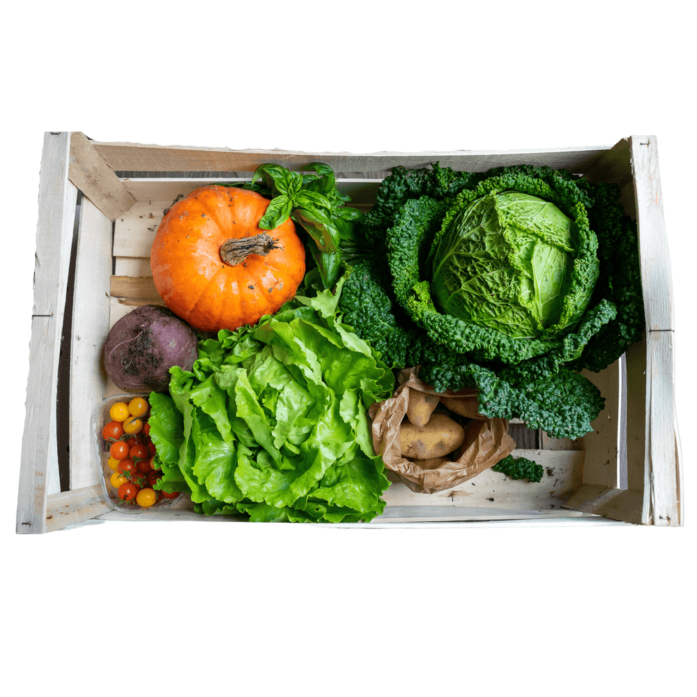 Panier de légumes BIO de la ferme des Terres Noires (54) - La ferme des Terres Noires - Panier de fruits et légumes - Livraison à domicile Nancy Metz