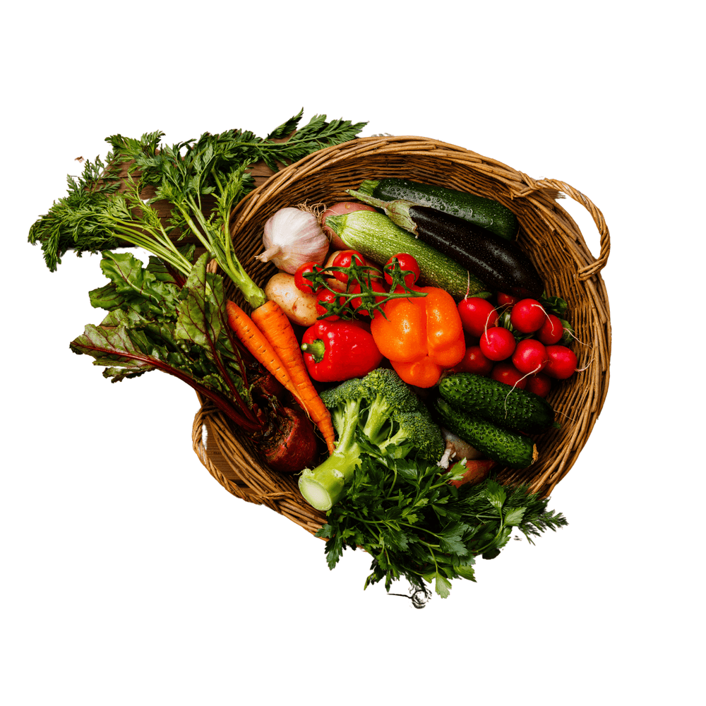 Panier de légumes BIO de la ferme des Terres Noires (54) - La ferme des Terres Noires - Panier de fruits et légumes - Livraison à domicile Nancy Metz
