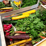 Panier de légumes de Elles Maraichage à Malzéville (54) - Elles Maraichage - Panier de fruits et légumes - Livraison à domicile Nancy Metz