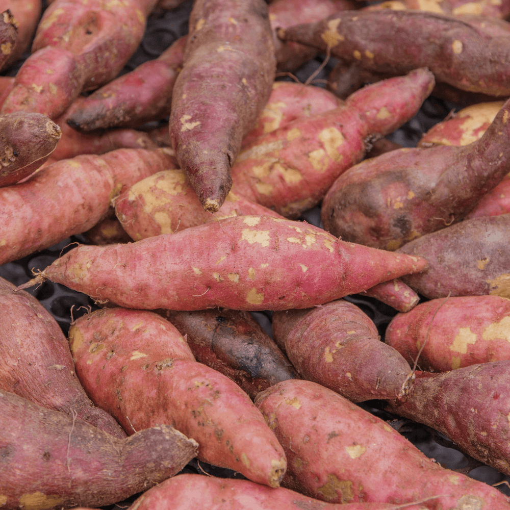 Patate douce - 1kg - Neary - Légumes - Livraison à domicile Nancy Metz