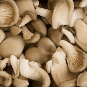 Pleurotes - Les champignons de Nancy - Champignons - Livraison à domicile Nancy Metz