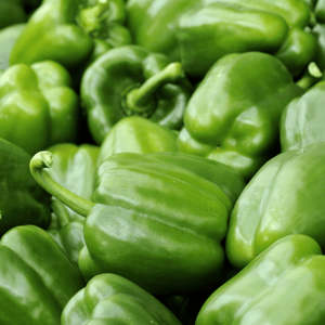 Poivrons verts BIO - 1kg - La ferme des Terres Noires - Légumes - Livraison à domicile Nancy Metz