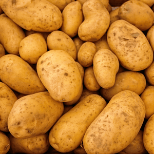 Pommes de terre Charlotte - 1kg - Elles Maraichage - Légumes - Livraison à domicile Nancy Metz