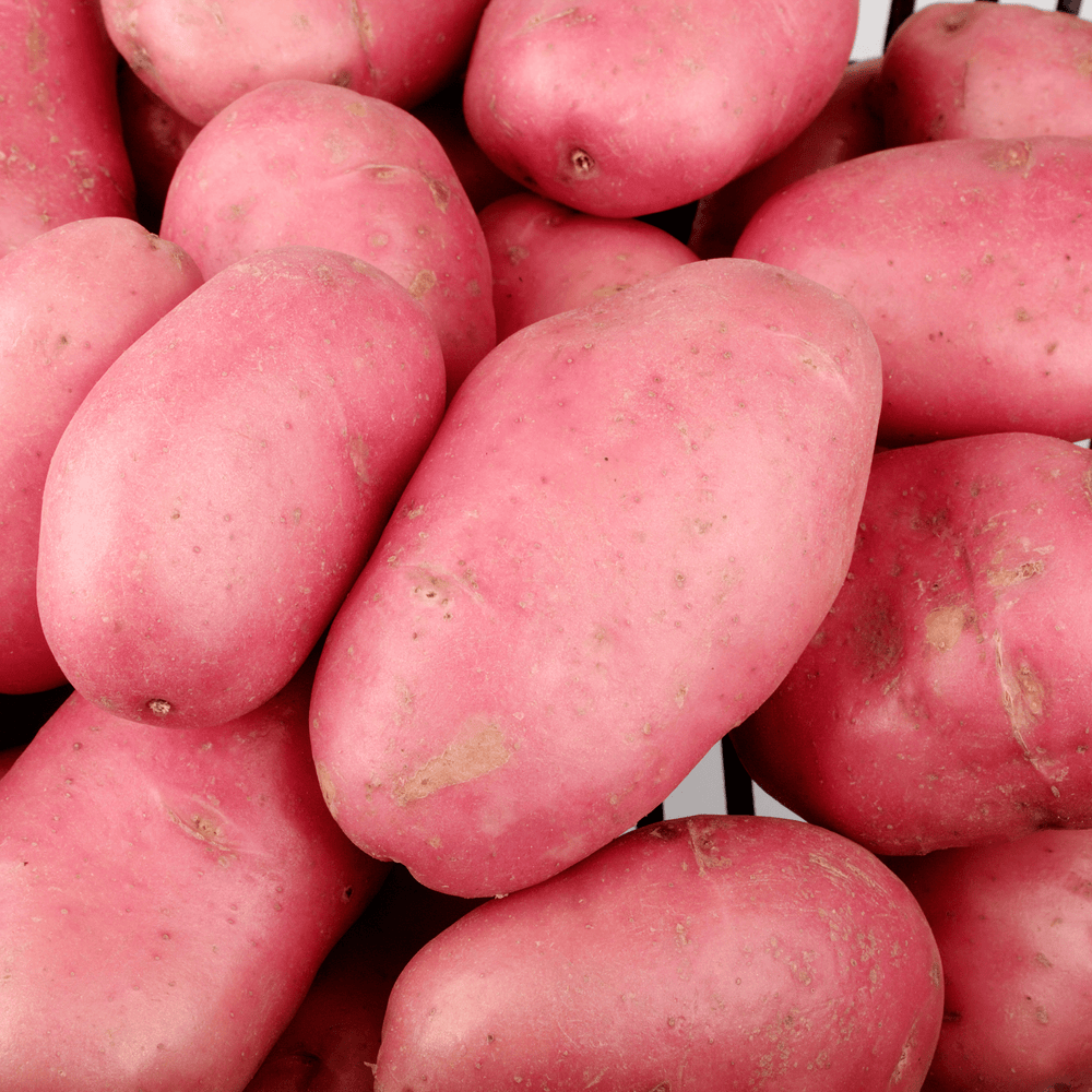 Pommes de terre Chérie - 1kg - Elles Maraichage - Légumes - Livraison à domicile Nancy Metz