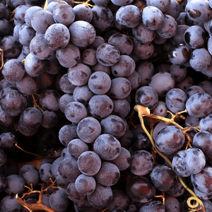 Livraison panier de fruits et légumes à Nancy, Metz et villages alentours - Raisin Lavallée - 500g - Neary - Fruits - Neary - Brunch, Fruits, Les fruits et légumes, Lorraine, Nancy, Origine France, Promotions