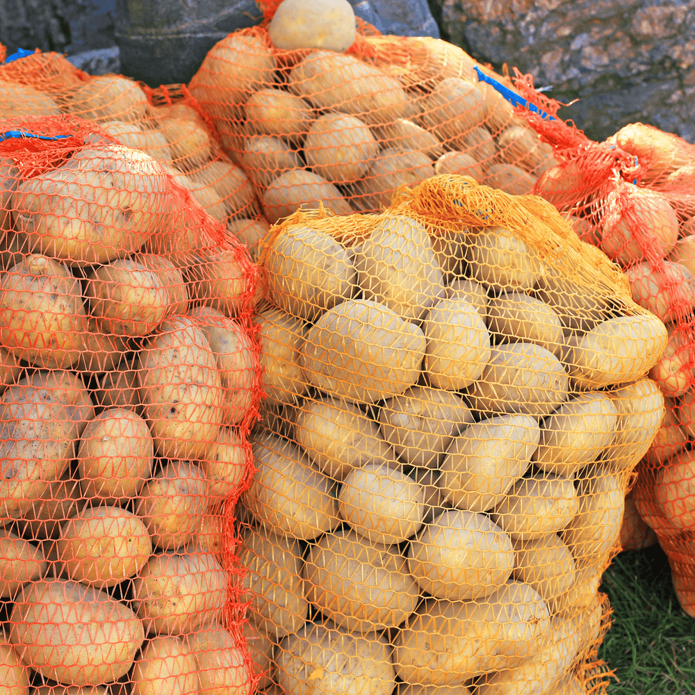 Sac de 10kg de Pommes de terre Agata - Neary - Légumes - Livraison à domicile Nancy Metz