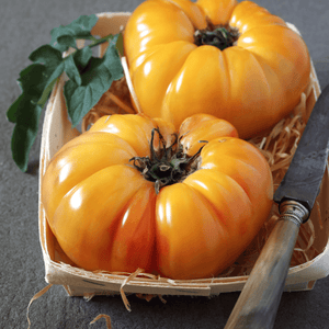 Tomates ananas - 1kg - Neary - Légumes - Livraison à domicile Nancy Metz