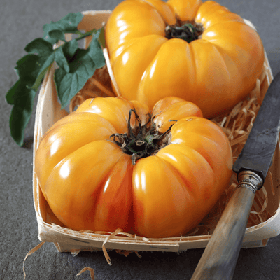 🍅 Pineapple Tomatoes – 1kg