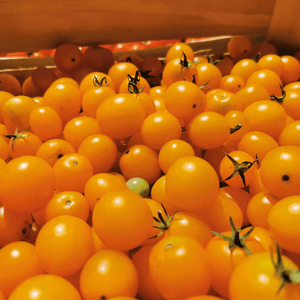 Tomates cerises - 500g - Neary - Légumes - Livraison à domicile